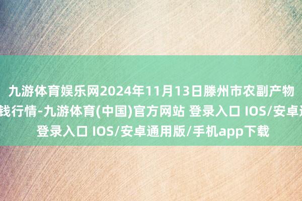 九游体育娱乐网2024年11月13日滕州市农副产物物流中心有限公司价钱行情-九游体育(中国)官方网站 登录入口 IOS/安卓通用版/手机app下载